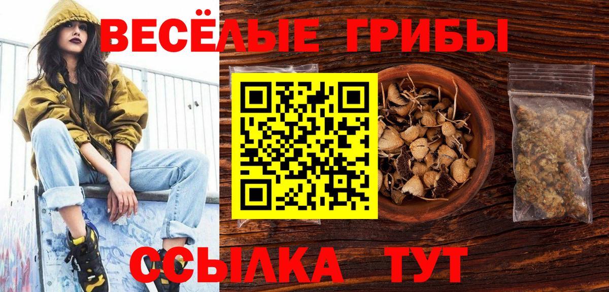 Псилоцибиновые грибы GOLDEN TEACHER Ржев